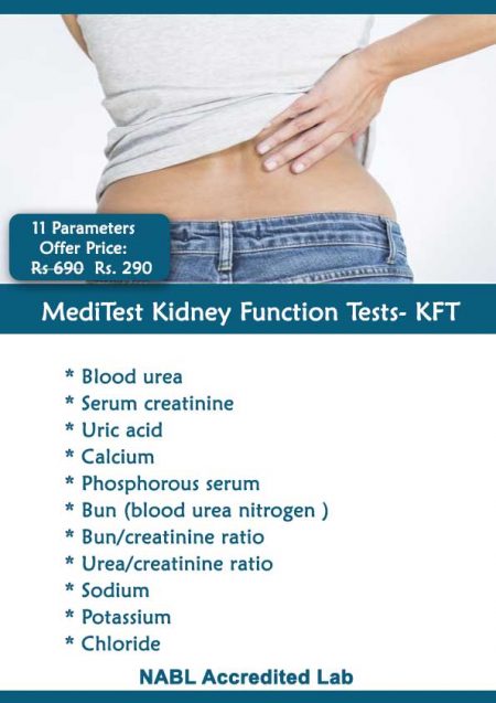 Kidney Function Test KFT RFT 11 Tests Rs 290 Free Home Sample Pickup