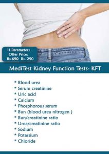 Kidnet Function Test in Rs 290